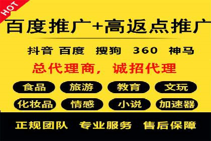 解析某某SEM服务公司如何通过数据分析优化广告效果
